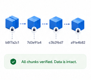 Encrypted chunks with hashes and integrity check success message